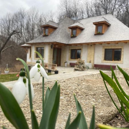 Casa Cu Sindrila Villa Vălenii de Munte Buitenkant foto