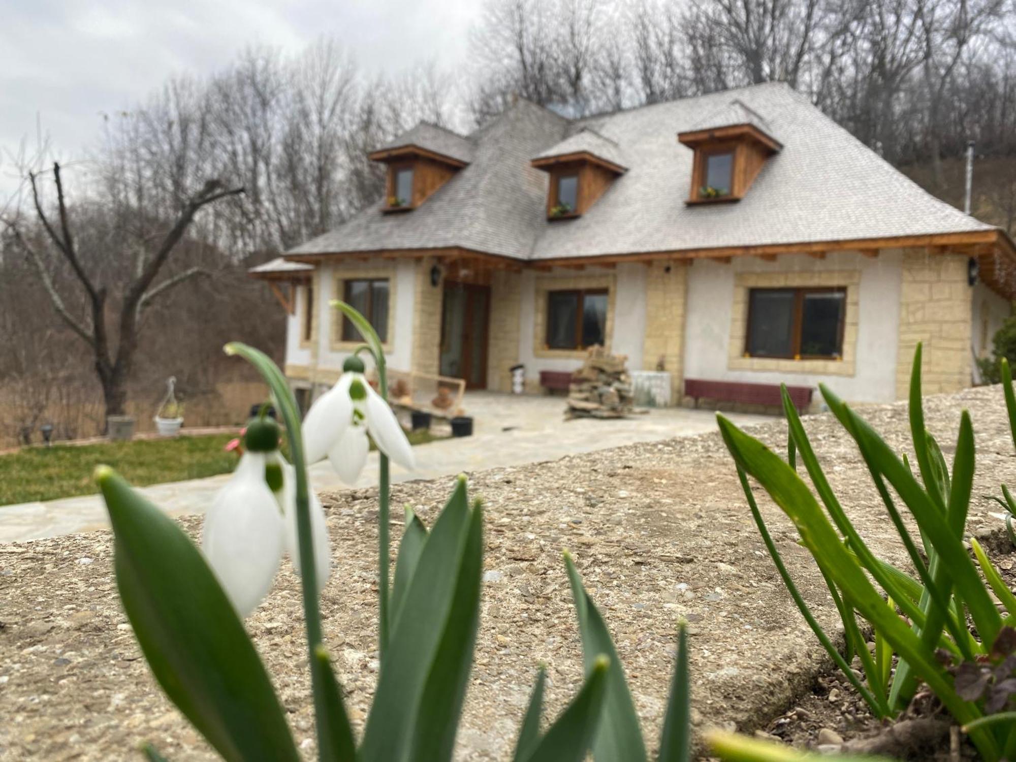 Casa Cu Sindrila Villa Vălenii de Munte Buitenkant foto