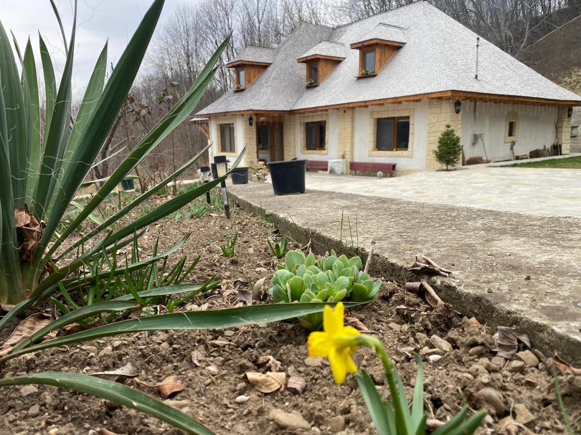 Casa Cu Sindrila Villa Vălenii de Munte Buitenkant foto